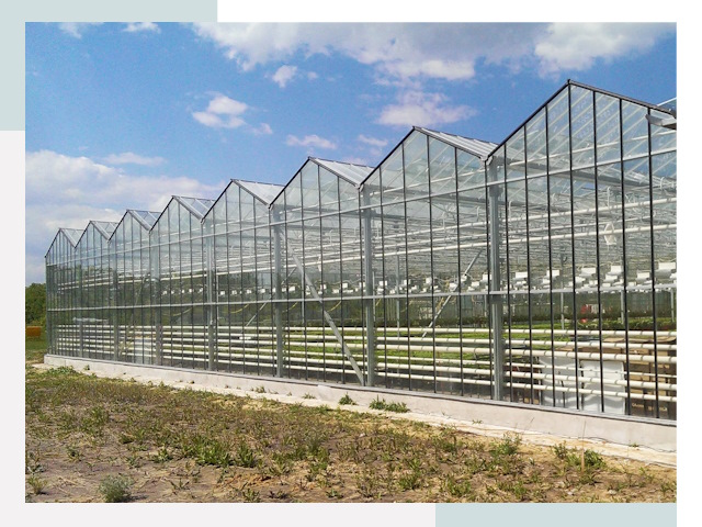 Строительство теплиц в Белово от 652 руб. за м²
