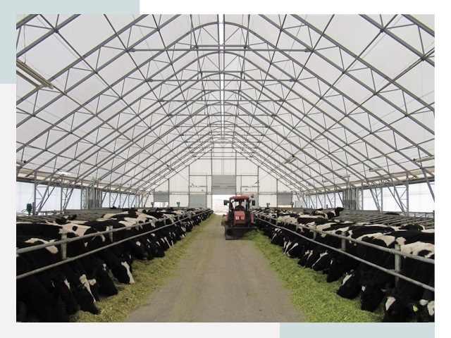 Тентовые коровники в Белове от 652 руб. - Надежно и доступно